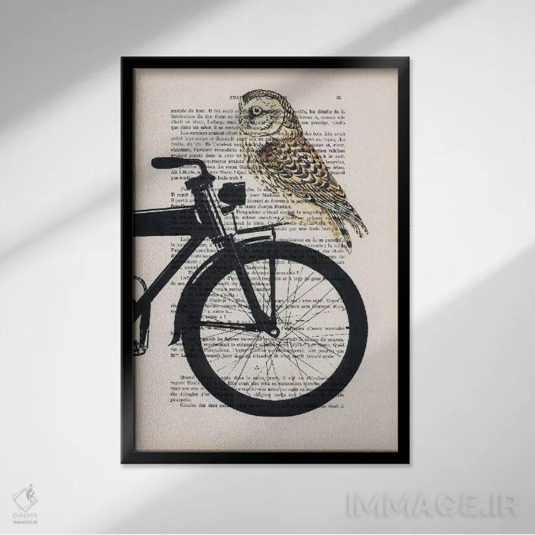 تابلو مدرن جغد روی دوچرخه اثر کوکو د پاریس - نمای قابدار مشکی