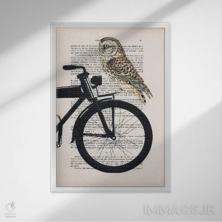 تابلو مدرن جغد روی دوچرخه اثر کوکو د پاریس - نمای قابدار سفید
