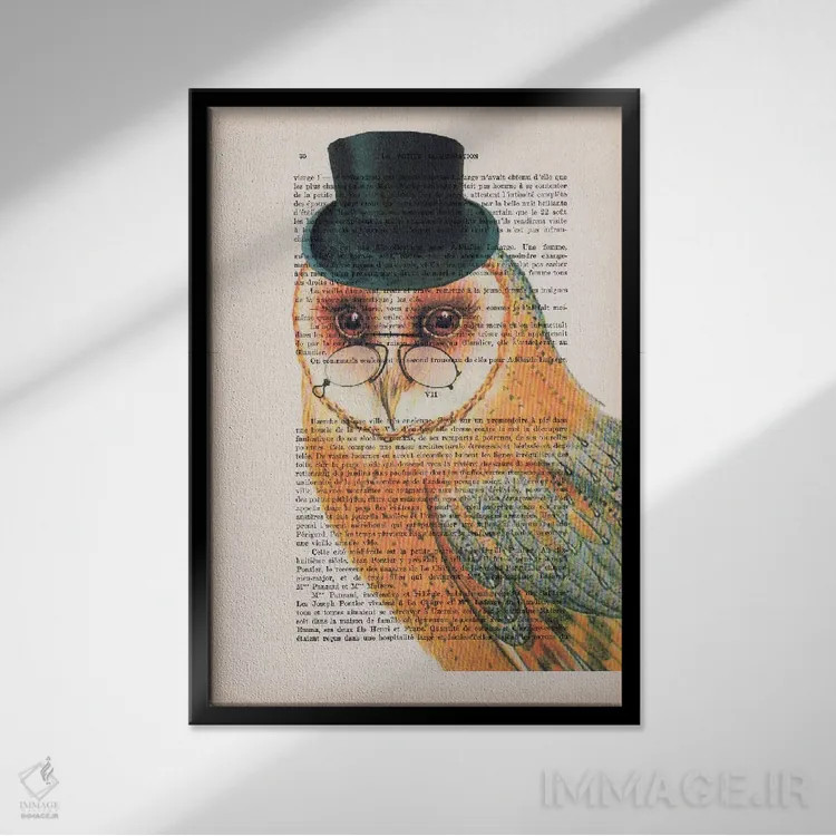 تابلو دکوراتیو جغد با کلاه اثر کوکو د پاریس - نمای قابدار مشکی