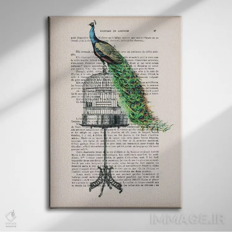 تابلو دکوراتیو طاووس روی قفس پرنده اثر کوکو د پاریس - نمای روبهرو روی دیوار