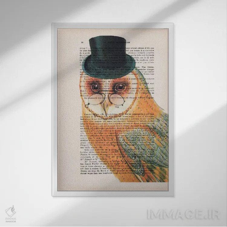 تابلو دکوراتیو جغد با کلاه اثر کوکو د پاریس - نمای قابدار سفید