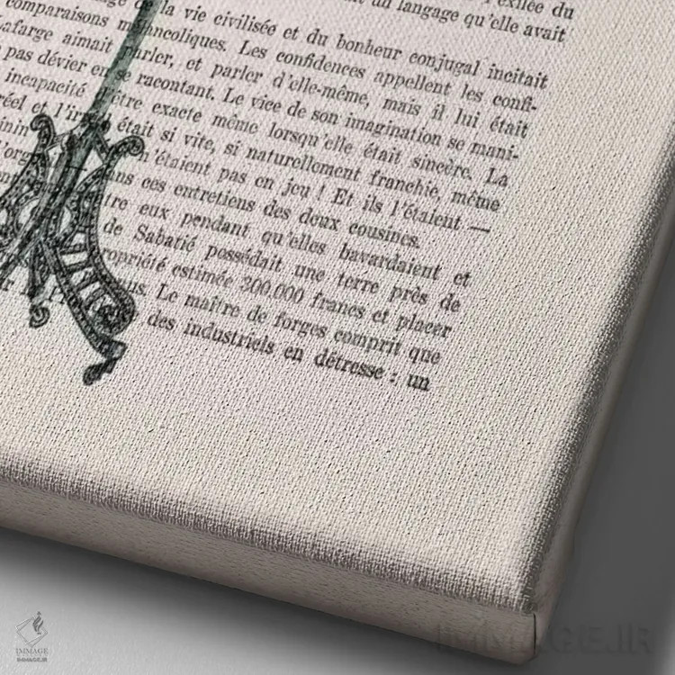 تابلو دکوراتیو طاووس روی قفس پرنده اثر کوکو د پاریس - نمای نزدیک بافت بوم