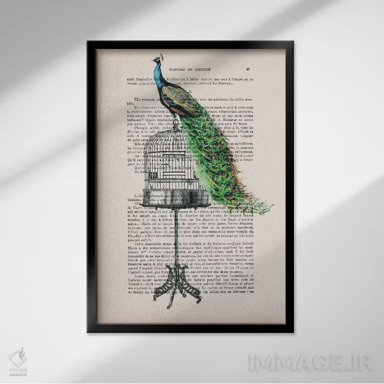 تابلو دکوراتیو طاووس روی قفس پرنده اثر کوکو د پاریس - نمای قابدار مشکی