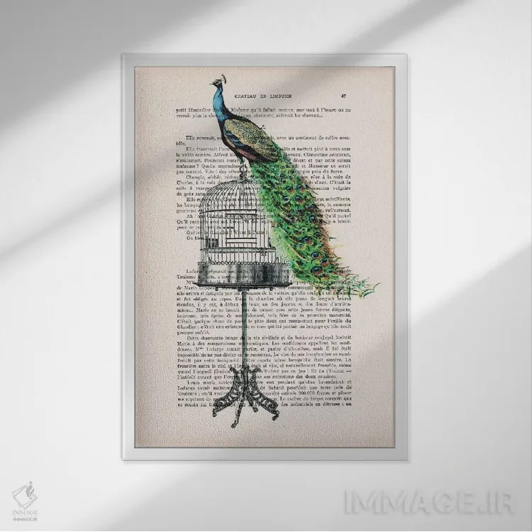 تابلو دکوراتیو طاووس روی قفس پرنده اثر کوکو د پاریس - نمای قابدار سفید