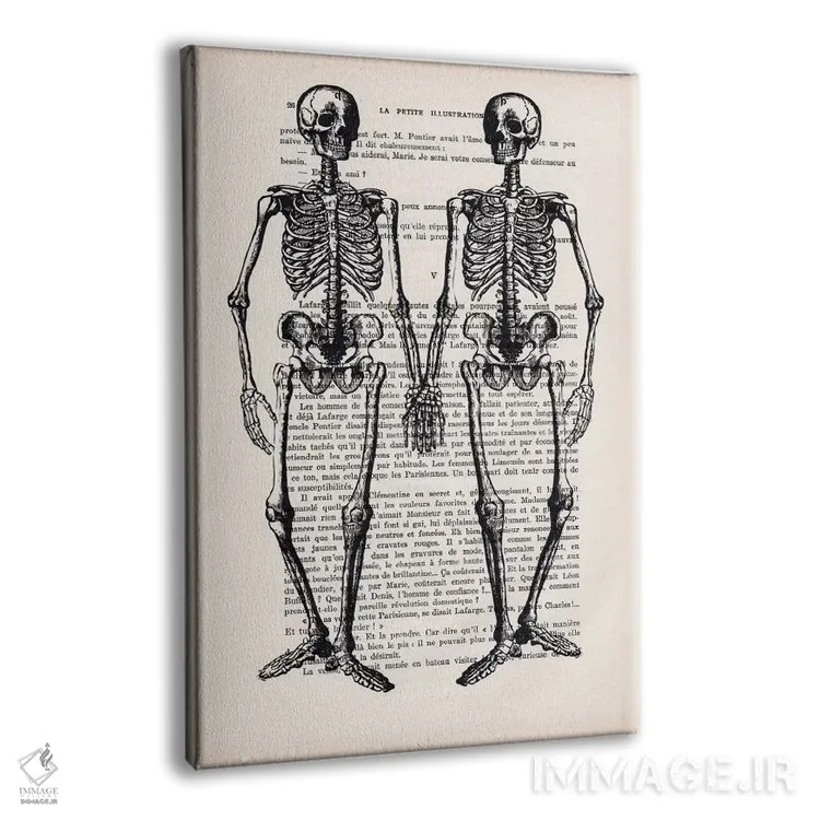 تابلو دکوراتیو دوستان اسکلت وار اثر کوکو د پاریس - نمای پرسپکتیو محصول