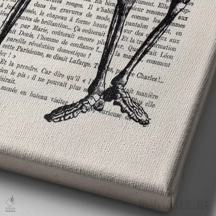 تابلو دکوراتیو دوستان اسکلت وار اثر کوکو د پاریس - نمای نزدیک بافت بوم