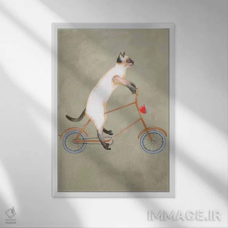 تابلو دکوراتیو گربه روی دوچرخه اثر کوکو د پاریس - نمای قابدار سفید