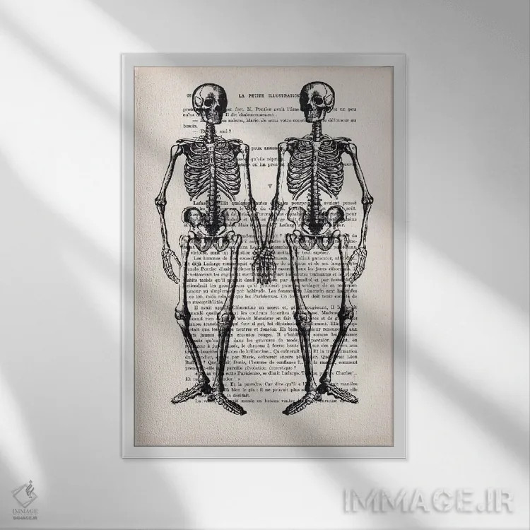 تابلو دکوراتیو دوستان اسکلت وار اثر کوکو د پاریس - نمای قابدار سفید