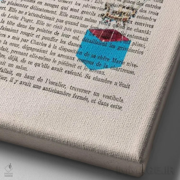 تابلو دکوراتیو سه بالون هوای گرم اثر کوکو د پاریس - نمای نزدیک بافت بوم