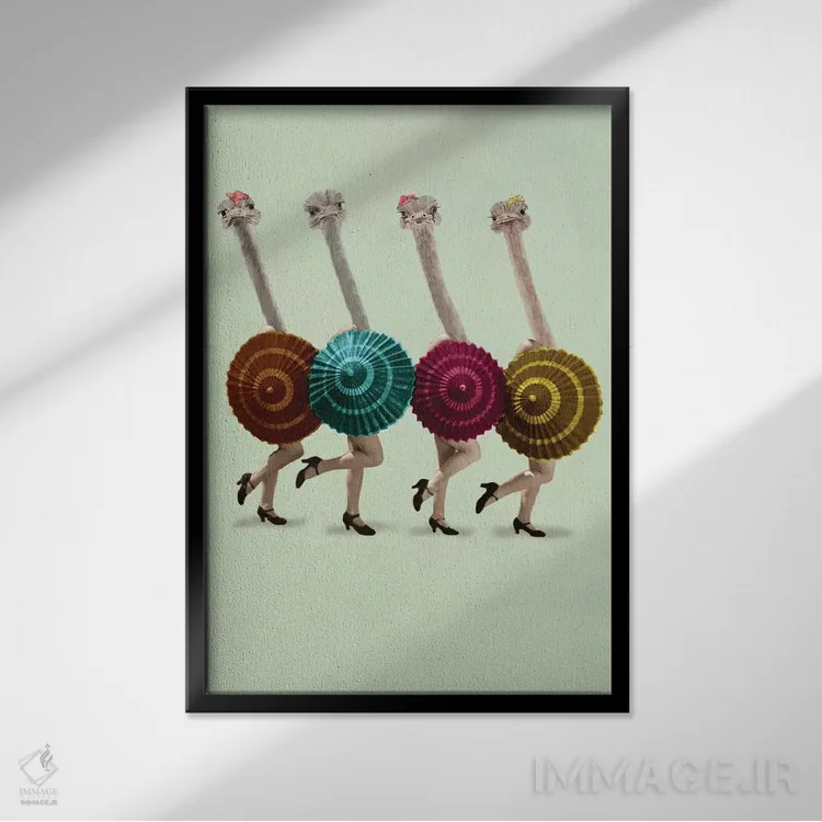تابلو دکوراتیو شترمرغ های رقصنده اثر کوکو د پاریس - نمای قابدار مشکی