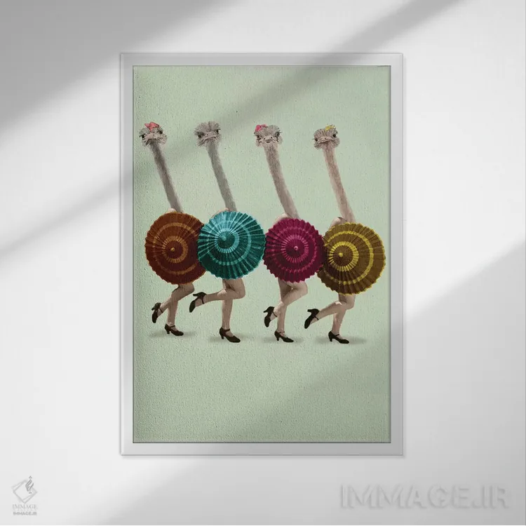 تابلو دکوراتیو شترمرغ های رقصنده اثر کوکو د پاریس - نمای قابدار سفید