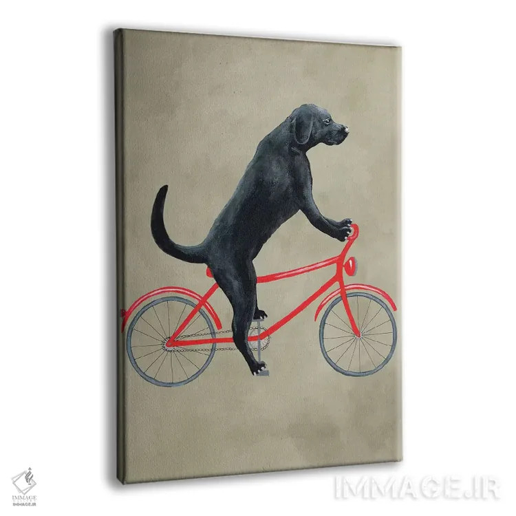 تابلو دکوراتیو لابرادور سیاه روی دوچرخه اثر کوکو د پاریس - نمای پرسپکتیو محصول