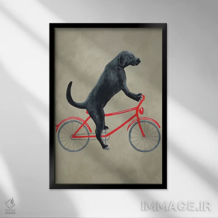 تابلو دکوراتیو لابرادور سیاه روی دوچرخه اثر کوکو د پاریس - نمای قابدار مشکی
