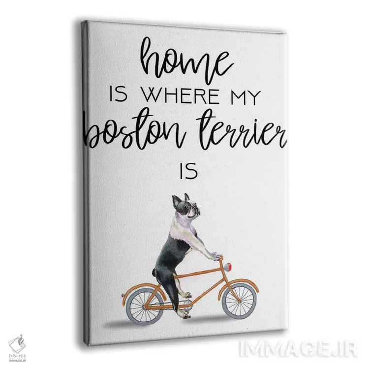 تابلو دکوراتیو بوستون تریر اثر کوکو د پاریس - نمای پرسپکتیو محصول