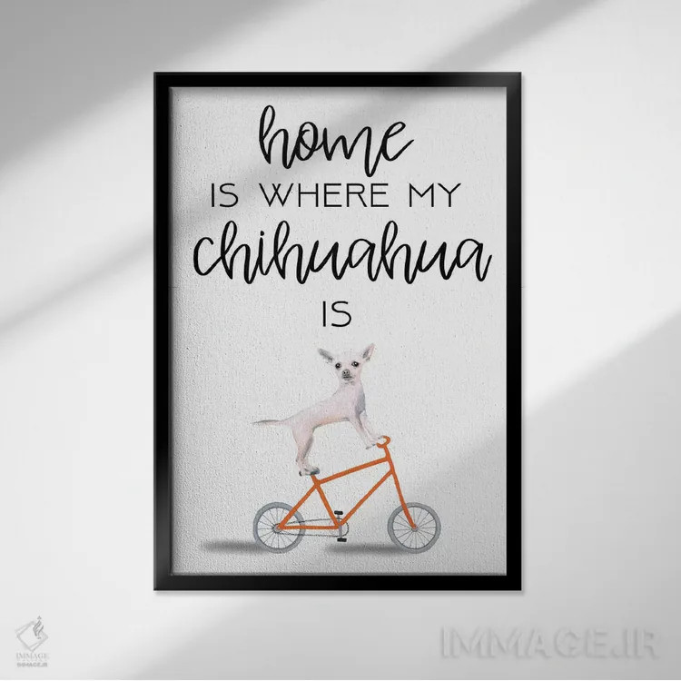 تابلو دکوراتیو چی واوا اثر کوکو د پاریس - نمای قابدار مشکی