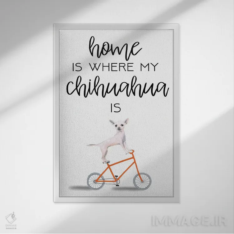 تابلو دکوراتیو چی واوا اثر کوکو د پاریس - نمای قابدار سفید