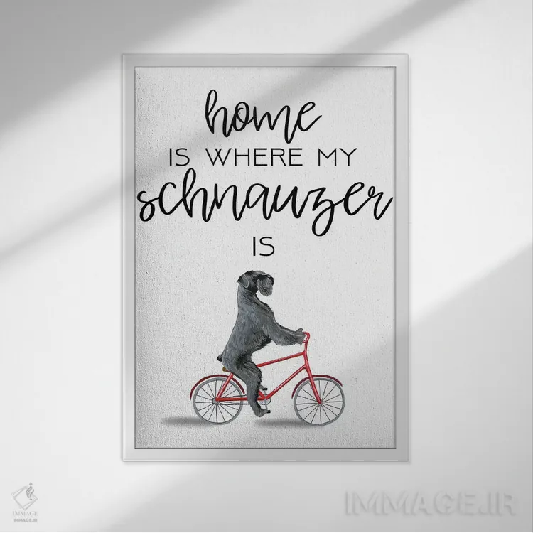 تابلو دکوراتیو اشنوزر اثر کوکو د پاریس - نمای قابدار سفید