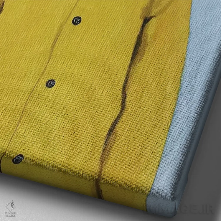 تابلو دکوراتیو زرافه با بارانی اثر کوکو د پاریس - نمای نزدیک بافت بوم