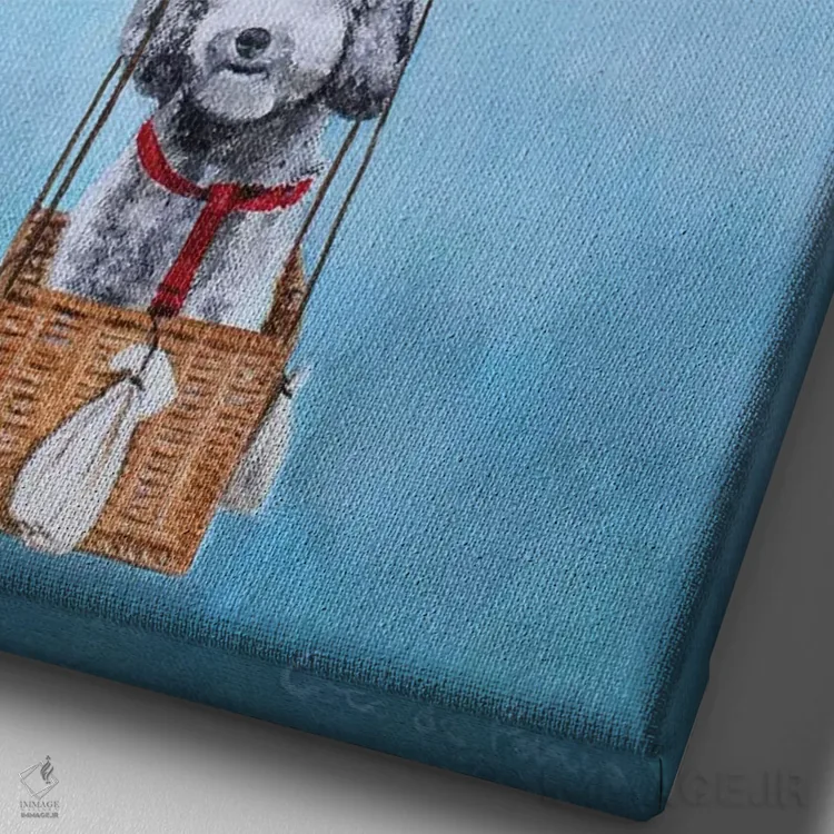 تابلو دکوراتیو پودل با بالن هوای گرم اثر کوکو د پاریس - نمای نزدیک بافت بوم