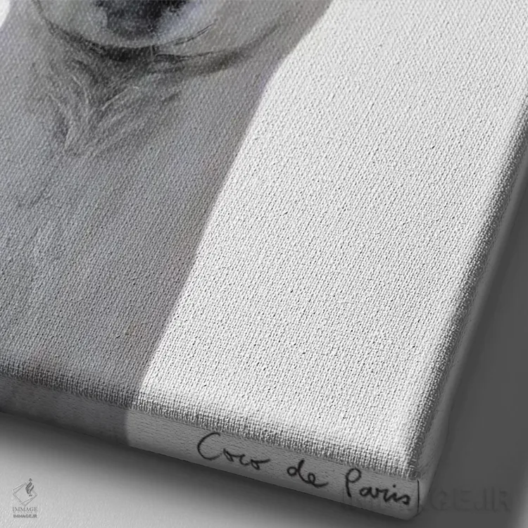 تابلو دکوراتیو لاما با تم فریدا کالو اثر کوکو د پاریس - نمای نزدیک بافت بوم