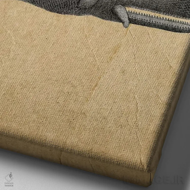 تابلو دکوراتیو فیل روی نهنگ اثر کوکو د پاریس - نمای نزدیک بافت بوم