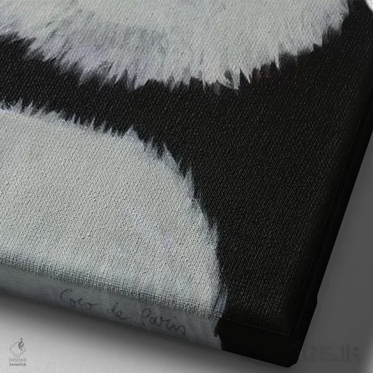 تابلو دکوراتیو پاندای فریدا کالو سفید اثر کوکو د پاریس - نمای نزدیک بافت بوم