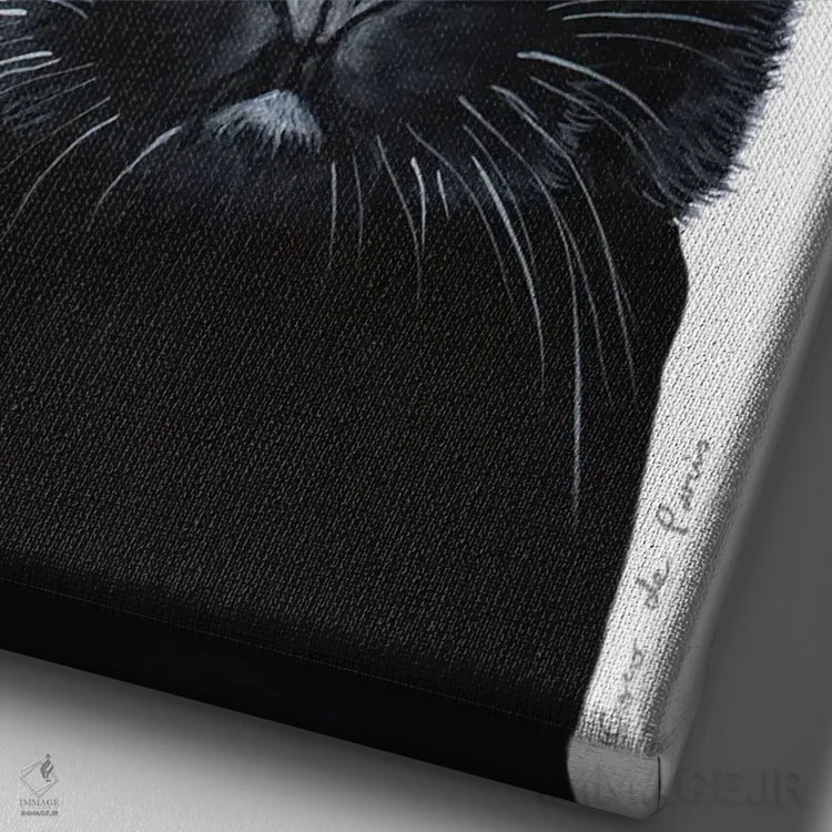 تابلو دکوراتیو گربه سیاه فریدا کالو اثر کوکو د پاریس - نمای نزدیک بافت بوم