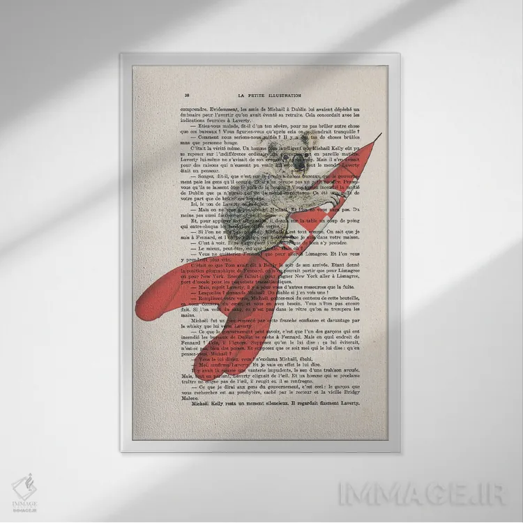 تابلو دکوراتیو خرس کوآلا در حال پرواز به سوی ماه اثر کوکو د پاریس - نمای قابدار سفید