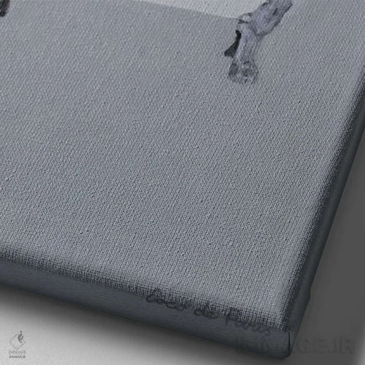 تابلو دکوراتیو شترمرغ در وان حمام اثر کوکو د پاریس - نمای نزدیک بافت بوم