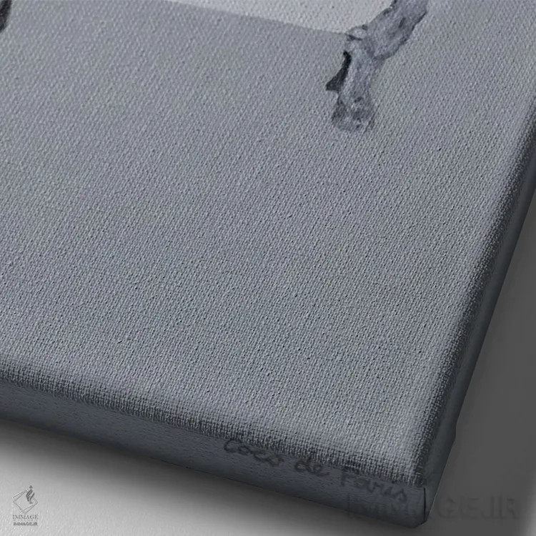 تابلو دکوراتیو پاگ با هشت پا در وان حمام اثر کوکو د پاریس - نمای نزدیک بافت بوم