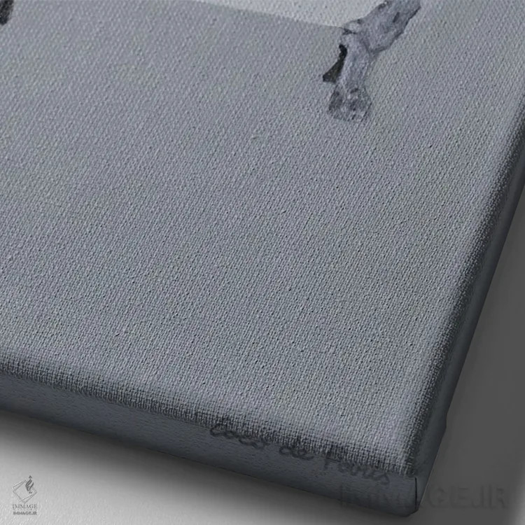 تابلو دکوراتیو فیل با آدامس بادکنکی در وان حمام اثر کوکو د پاریس - نمای نزدیک بافت بوم