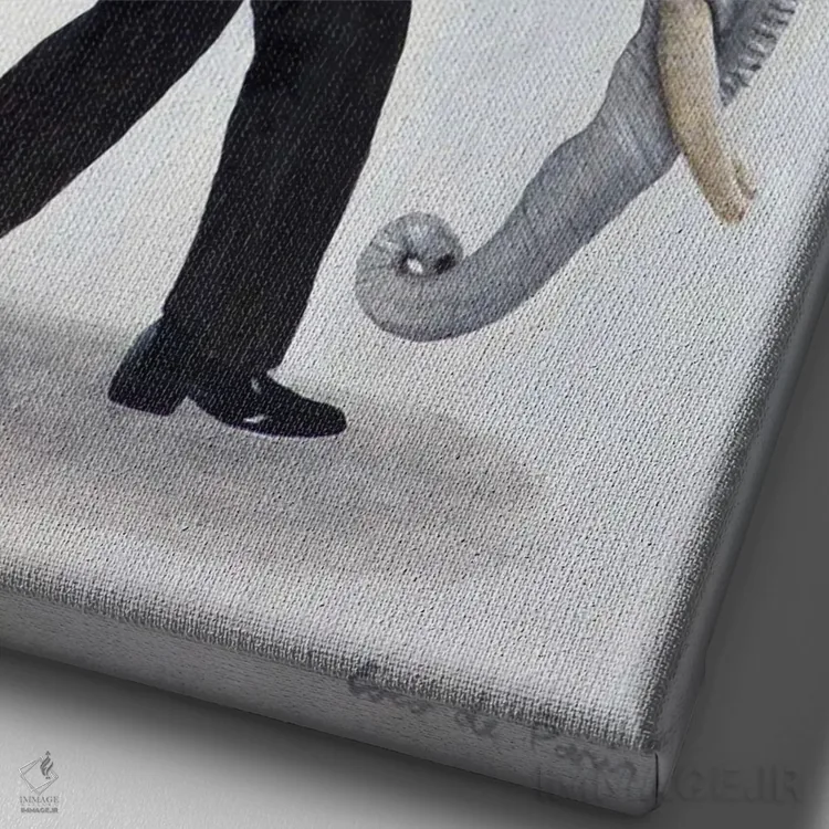 تابلو دکوراتیو فیل حمل کننده تنگ ماهی اثر کوکو د پاریس - نمای نزدیک بافت بوم