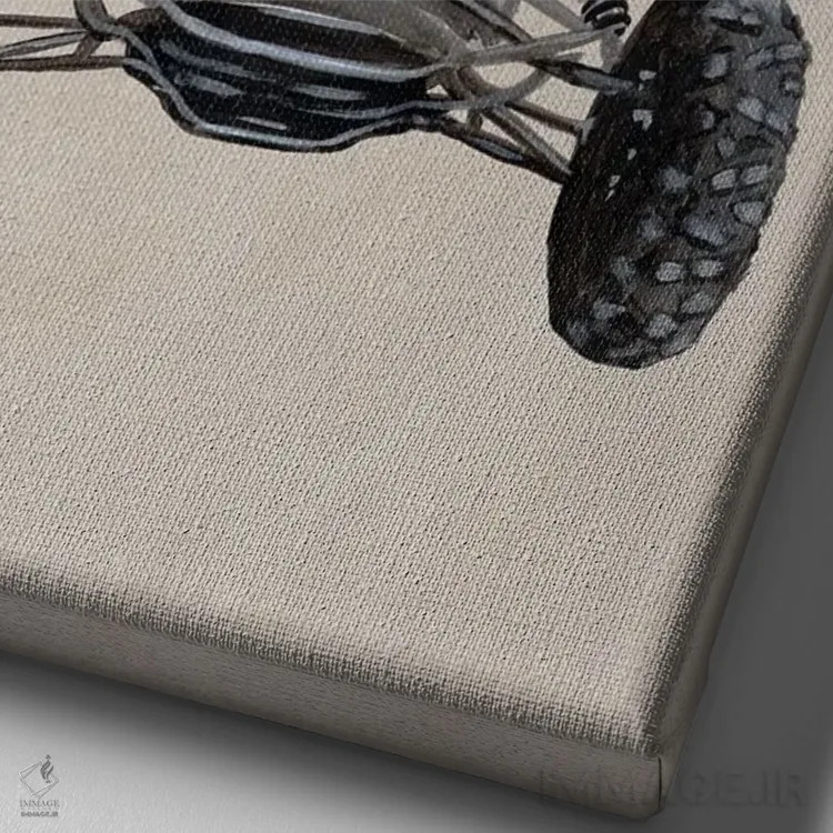 تابلو دکوراتیو شترمرغ ها در ماشین صحرایی اثر کوکو د پاریس - نمای نزدیک بافت بوم