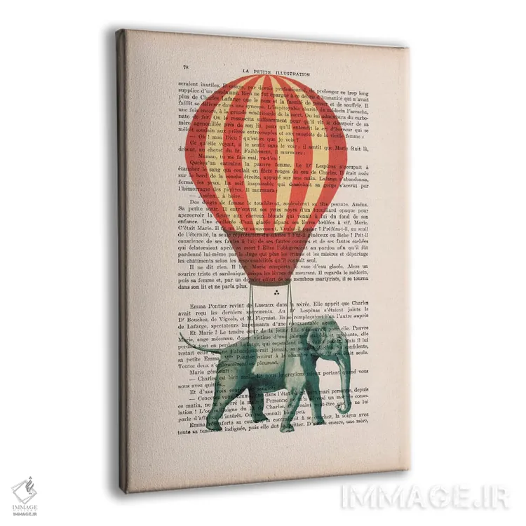 تابلو دکوراتیو فیل با بالون هوای گرم اثر کوکو د پاریس - نمای پرسپکتیو محصول