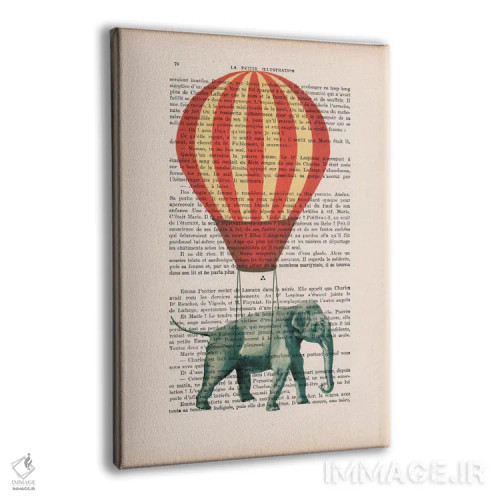 تابلو دکوراتیو فیل با بالون هوای گرم اثر کوکو د پاریس - نمای پرسپکتیو محصول