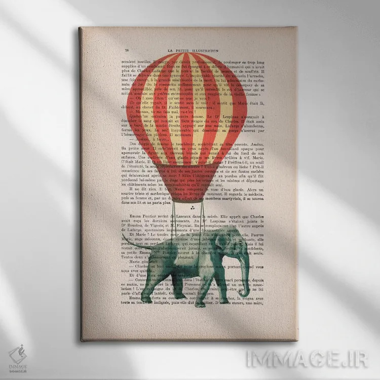 تابلو دکوراتیو فیل با بالون هوای گرم اثر کوکو د پاریس - نمای روبهرو روی دیوار