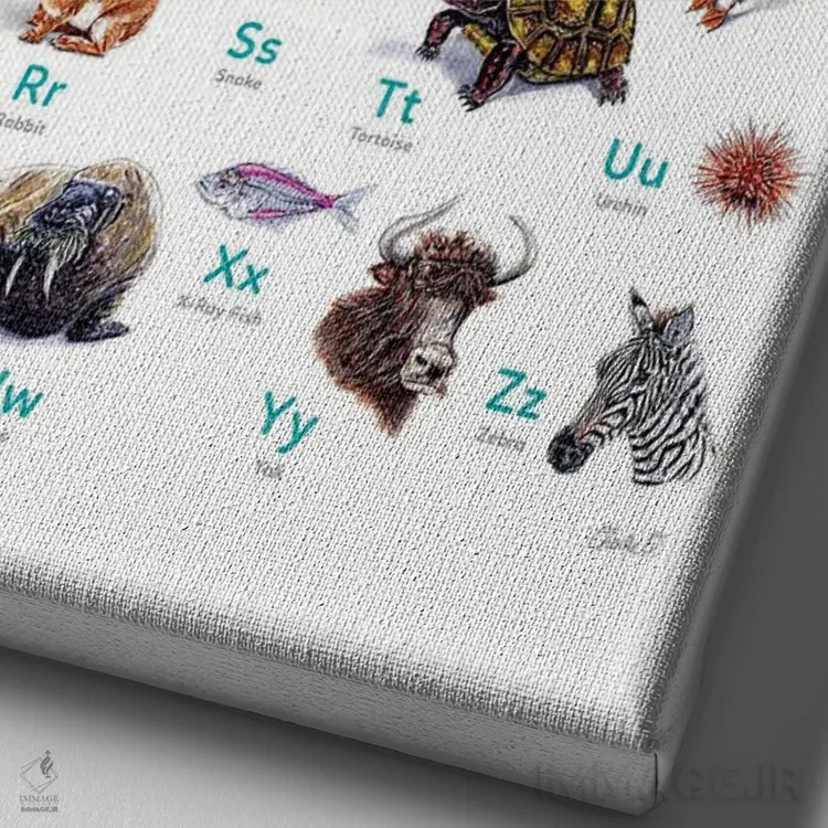 تابلو دکوراتیو حیوانات الفبا اثر چارلی اوشیلدز - نمای نزدیک بافت بوم