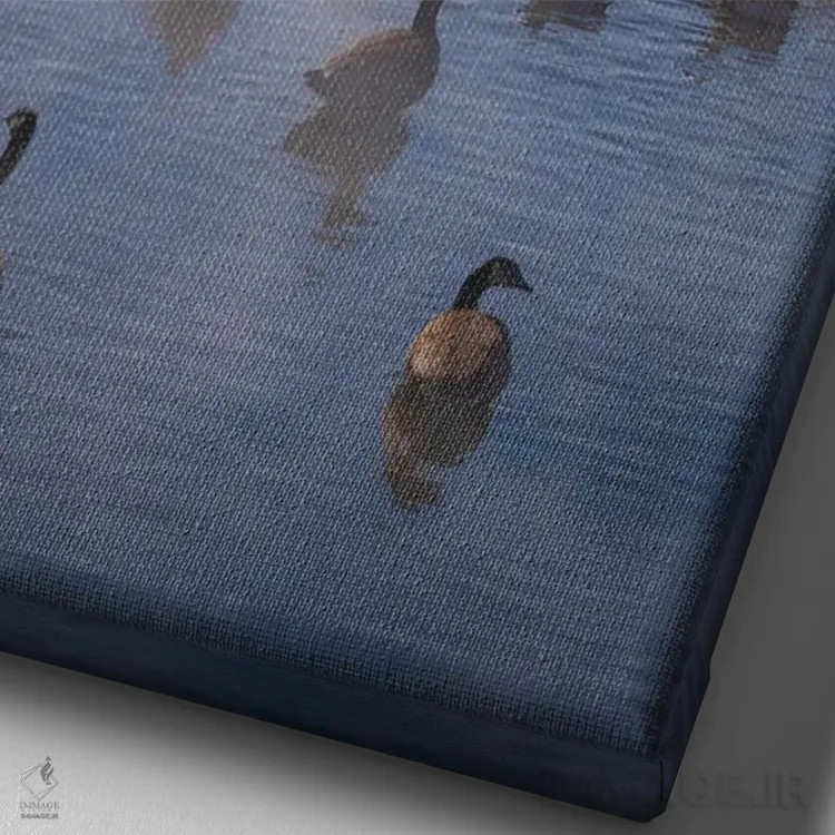 تابلو دکوراتیو غازهای کانادایی در مه اثر کریستوفر توماس - نمای نزدیک بافت بوم