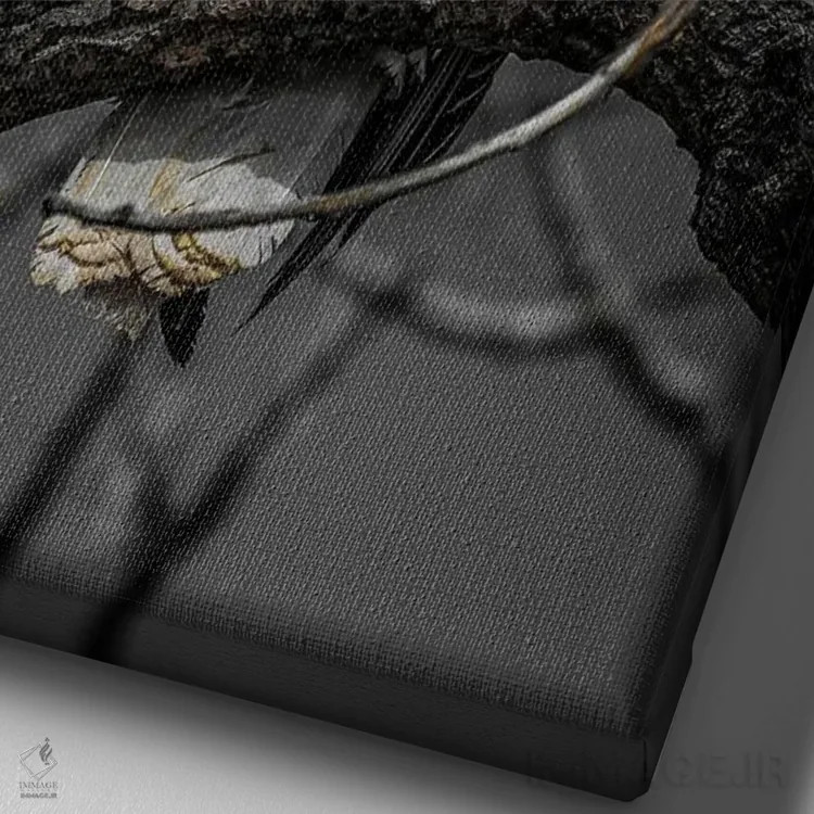 تابلو دکوراتیو بررسی عقاب سرسفید اثر کریستوفر توماس - نمای نزدیک بافت بوم