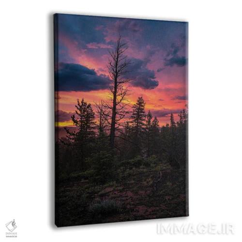 تابلو دکوراتیو غروب جنگل اثر کریستوفر توماس - نمای پرسپکتیو محصول