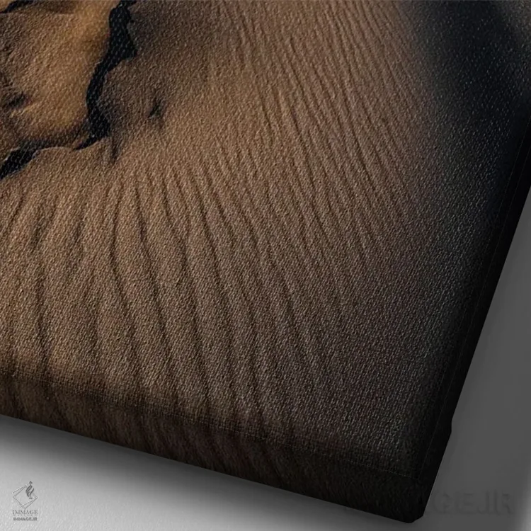 تابلو دکوراتیو تپه های شنی خرس خفته اثر کریستوفر توماس - نمای نزدیک بافت بوم