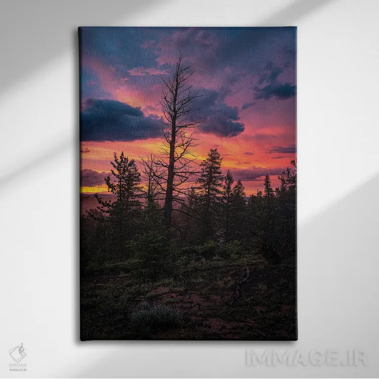 تابلو دکوراتیو غروب جنگل اثر کریستوفر توماس - نمای روبهرو روی دیوار