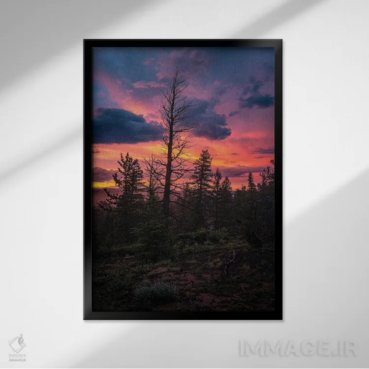 تابلو دکوراتیو غروب جنگل اثر کریستوفر توماس - نمای قابدار مشکی