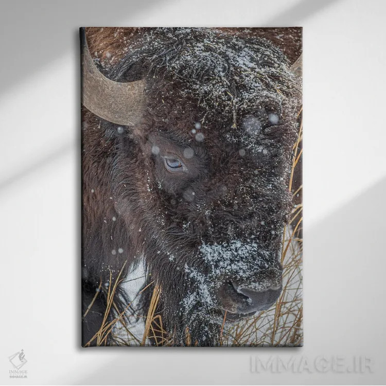 تابلو دکوراتیو جانور یخ زده اثر کریستوفر توماس - نمای روبهرو روی دیوار