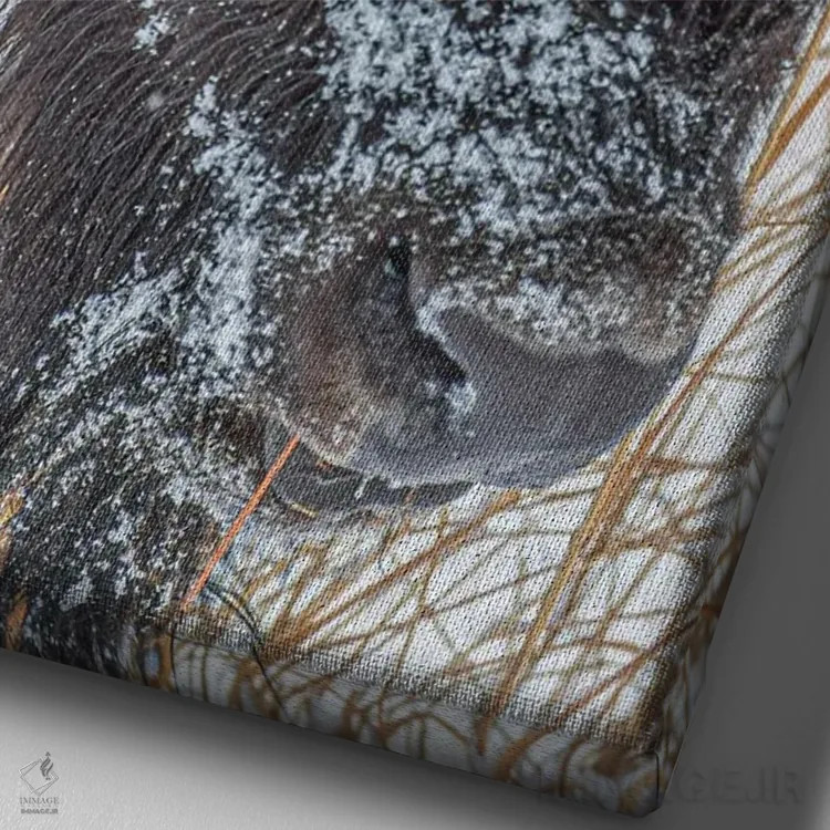 تابلو دکوراتیو جانور یخ زده اثر کریستوفر توماس - نمای نزدیک بافت بوم