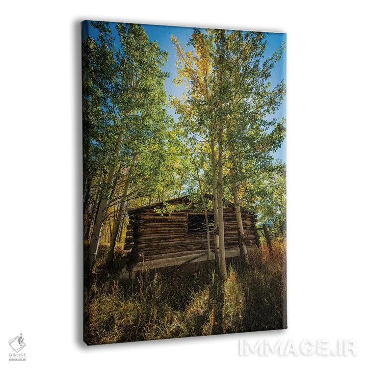 تابلو دکوراتیو کلبه پارک شمالی اثر کریستوفر توماس - نمای پرسپکتیو محصول