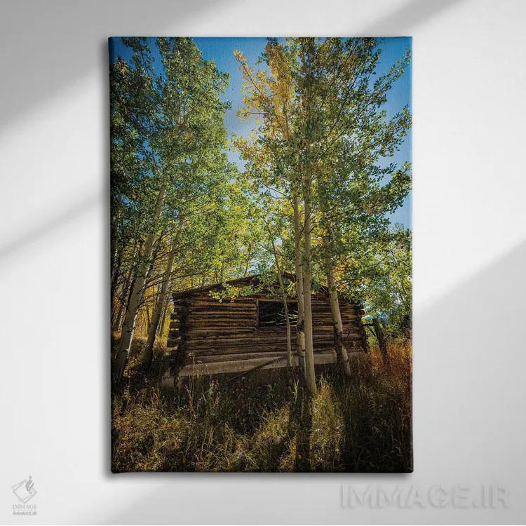 تابلو دکوراتیو کلبه پارک شمالی اثر کریستوفر توماس - نمای روبهرو روی دیوار