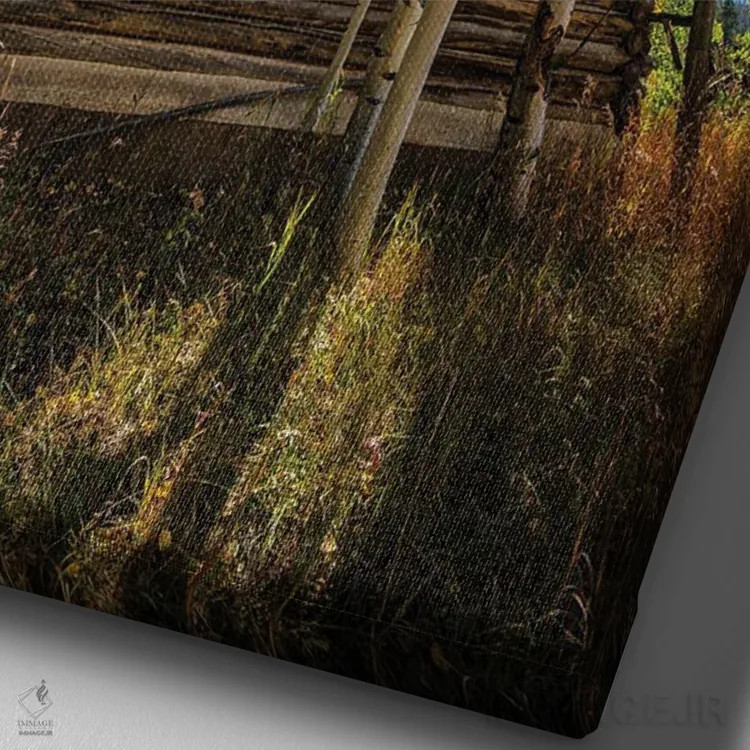 تابلو دکوراتیو کلبه پارک شمالی اثر کریستوفر توماس - نمای نزدیک بافت بوم