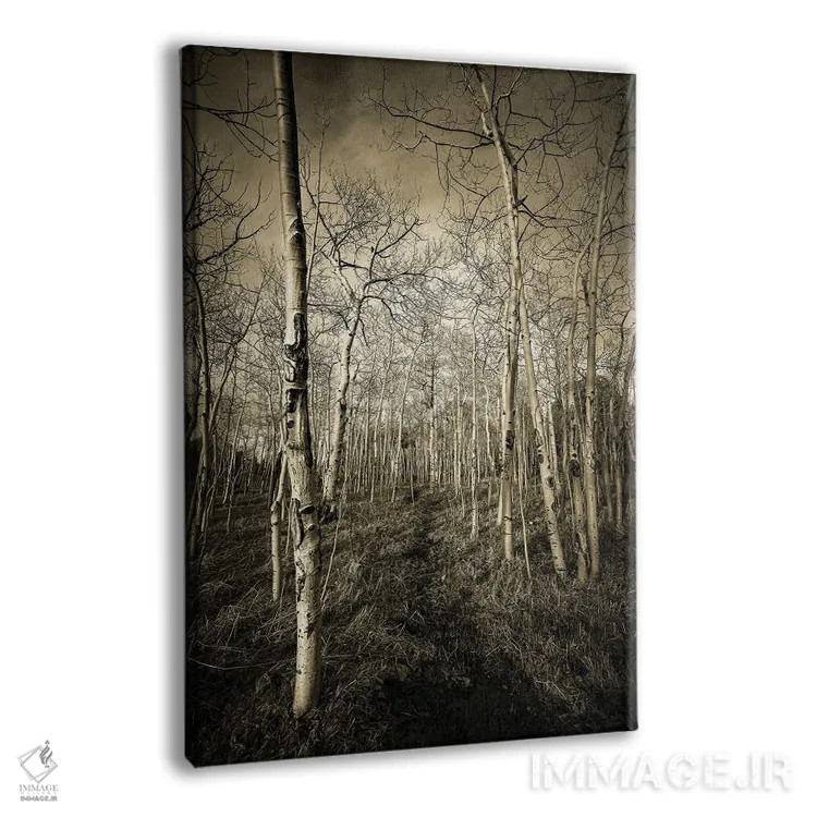 تابلو دکوراتیو تالارهای درخت تبریزی اثر کریستوفر توماس - نمای پرسپکتیو محصول