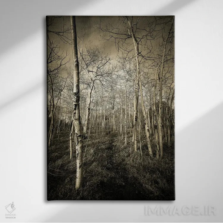 تابلو دکوراتیو تالارهای درخت تبریزی اثر کریستوفر توماس - نمای روبهرو روی دیوار